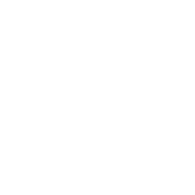 Birdeye
